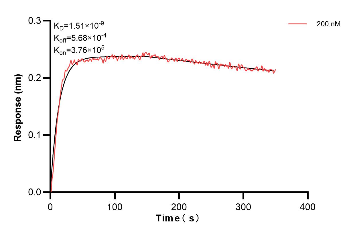 Affinity and Kinetic Characterization of 83642-2-PBS