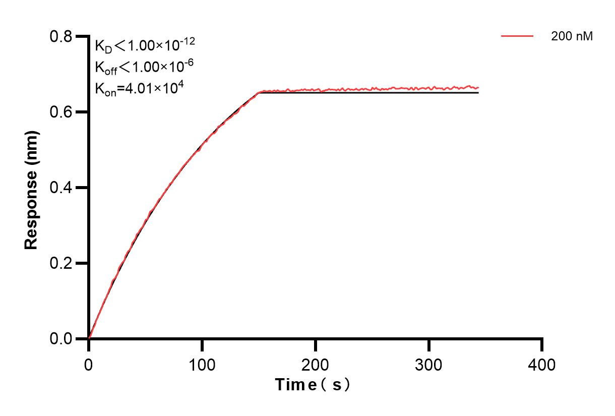 Affinity and Kinetic Characterization of 83659-3-PBS