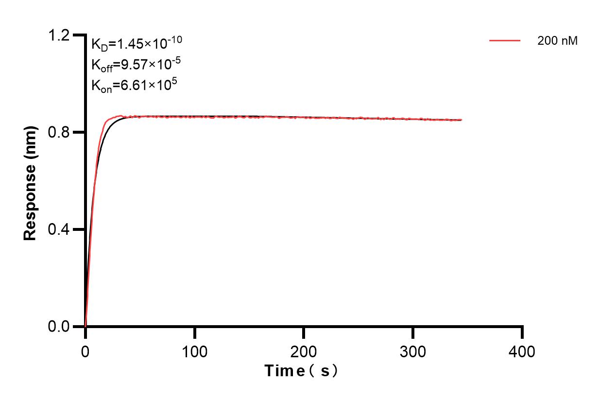Affinity and Kinetic Characterization of 83662-2-PBS