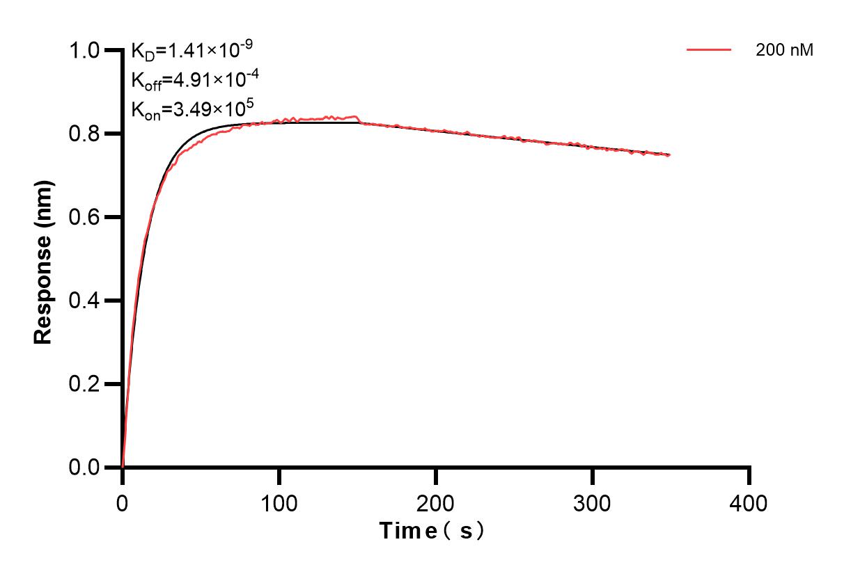 Affinity and Kinetic Characterization of 83662-6-PBS