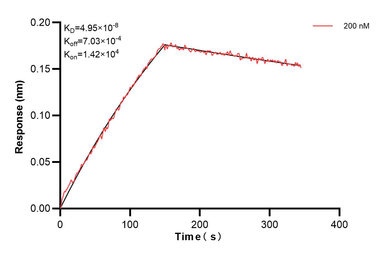 Biolayer interferometry (BLl) kinetic assay of 83664-4-PBS against Human FTCD were performed. The affinity constant is 49.5 nM. Affinity of 83664-4-PBS