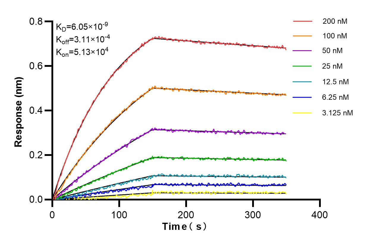 Affinity and Kinetic Characterization of 83675-6-RR
