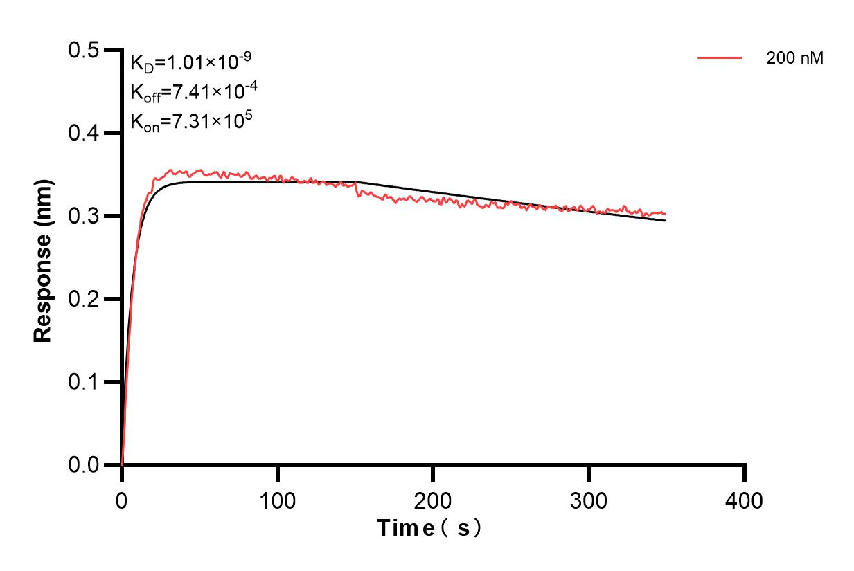 Biolayer interferometry (BLl) kinetic assay of 83684-4-PBS against Human Interferon alpha 1/IFNA1 was performed. The affinity constant is 1.01 nM. Affinity and Kinetic Characterization of 83684-4-PBS
