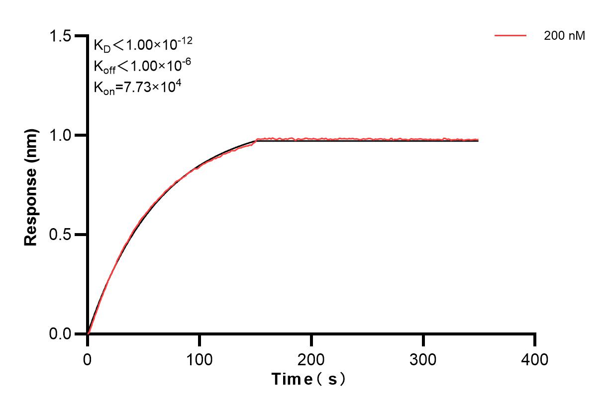 Affinity and Kinetic Characterization of 83685-1-PBS