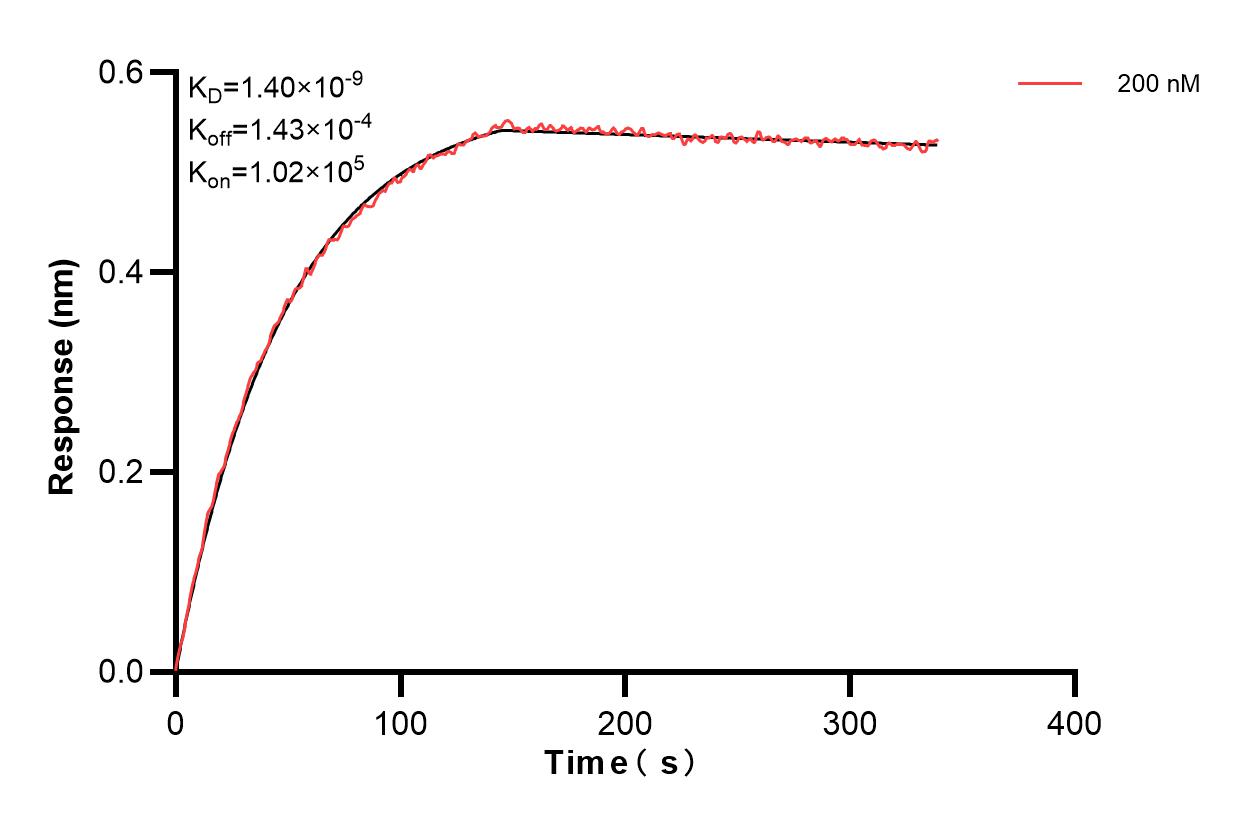 Affinity and Kinetic Characterization of 83687-2-PBS