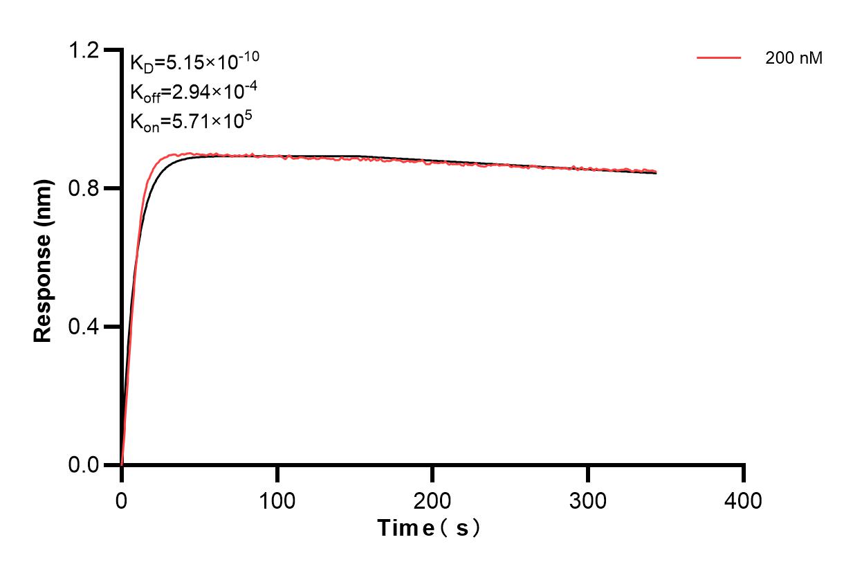 Biolayer interferometry (BLl) kinetic assays of 83688-3-PBS against Human CD126/IL-6R alpha were performed. The affinity constant is 0.515 nM. Affinity and Kinetic Characterization of 83688-3-PBS