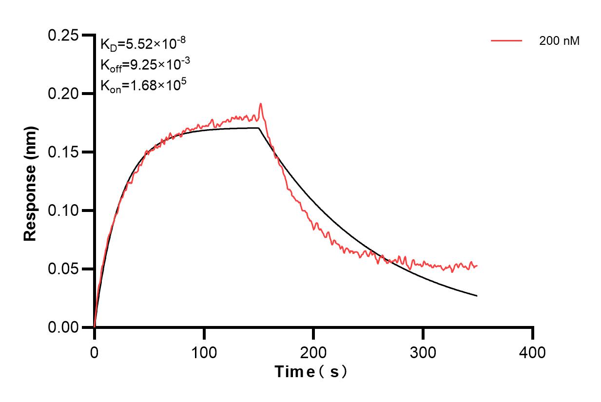 Biolayer interferometry (BLl) kinetic assay of 83701-1-PBS against Human FGFR3 was performed. The affinity constant is 55.2 nM. Affinity of 83701-1-PBS