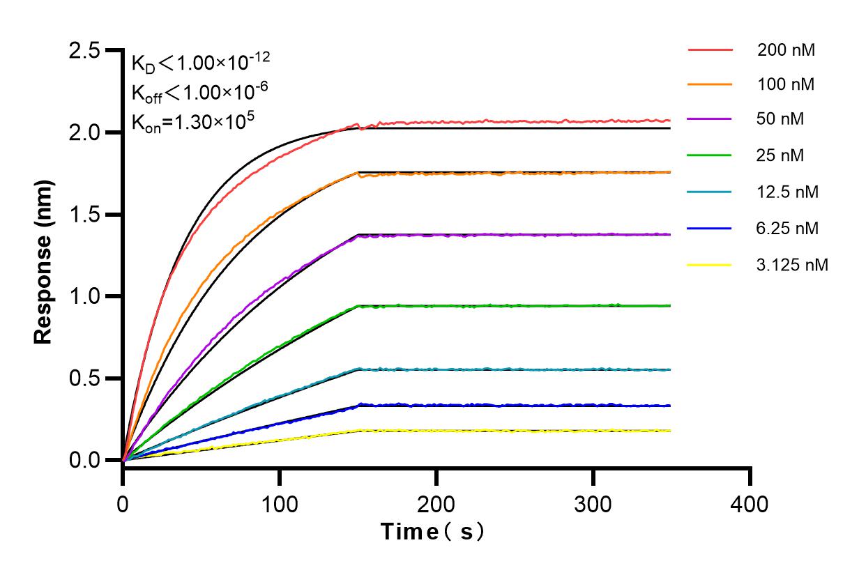 Affinity and Kinetic Characterization of 83706-6-RR