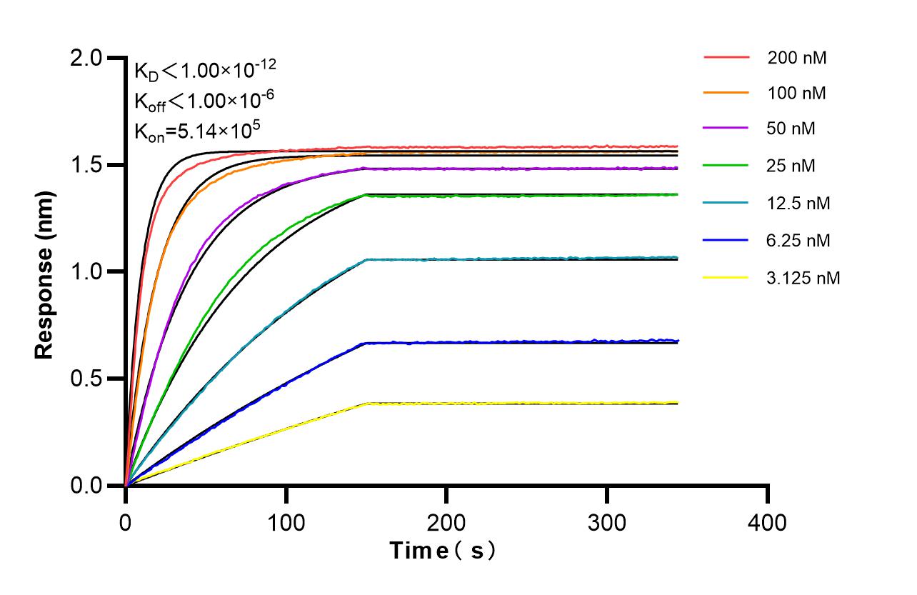 Affinity of 83721-6-RR