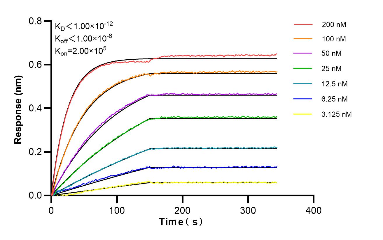 Affinity and Kinetic Characterization of 83727-7-RR