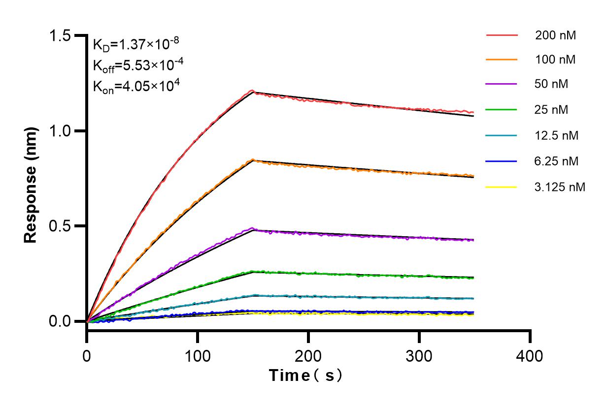 Affinity and Kinetic Characterization of 83736-4-RR