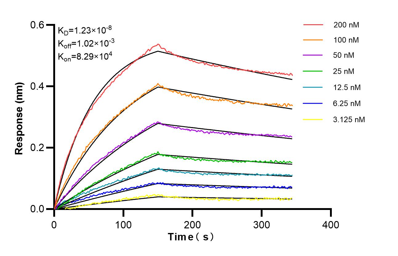 Affinity of 83739-3-RR