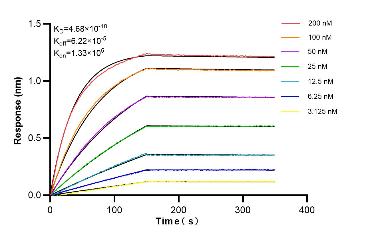 Affinity of 83765-7-RR