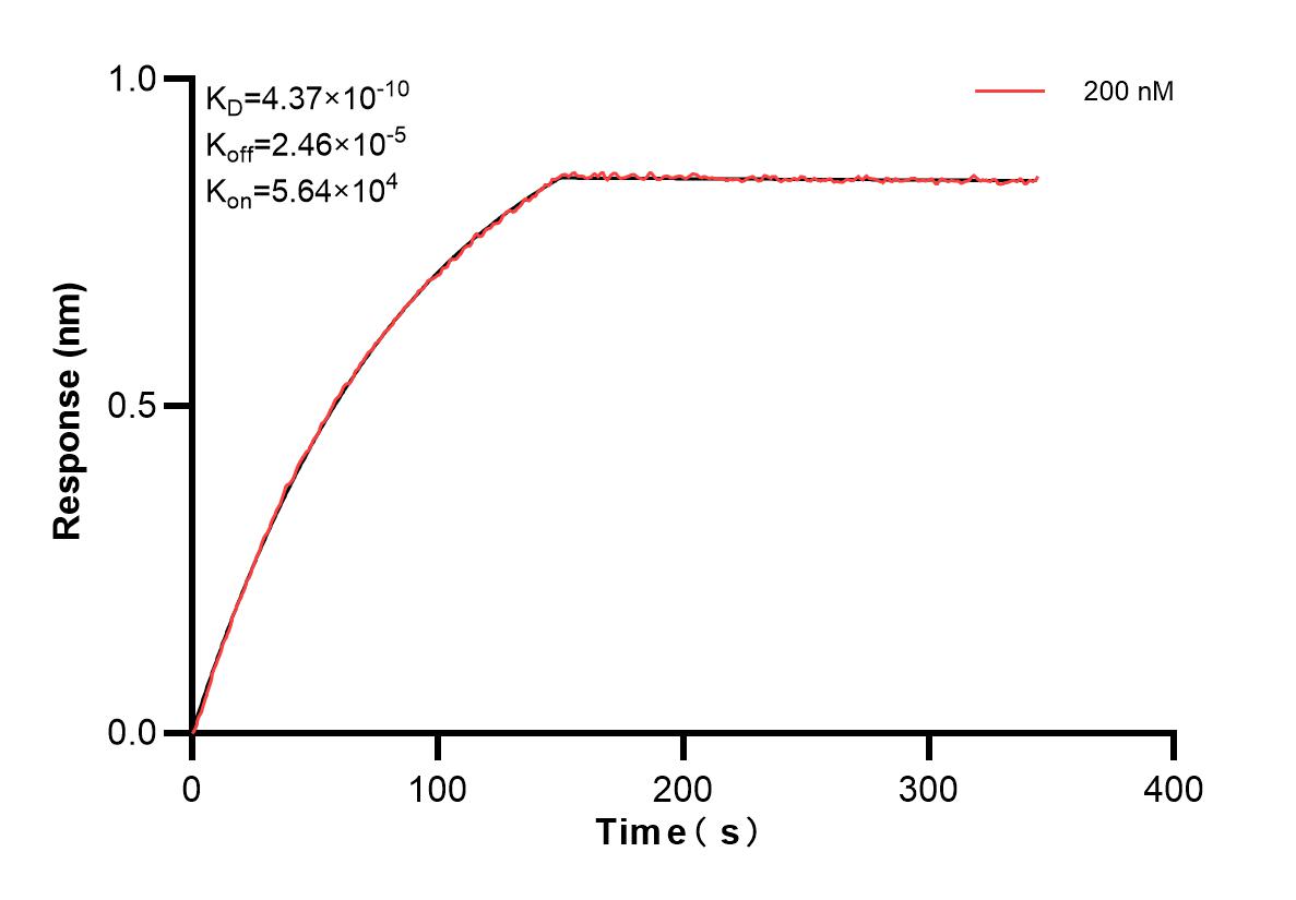 Affinity and Kinetic Characterization of 83770-1-PBS