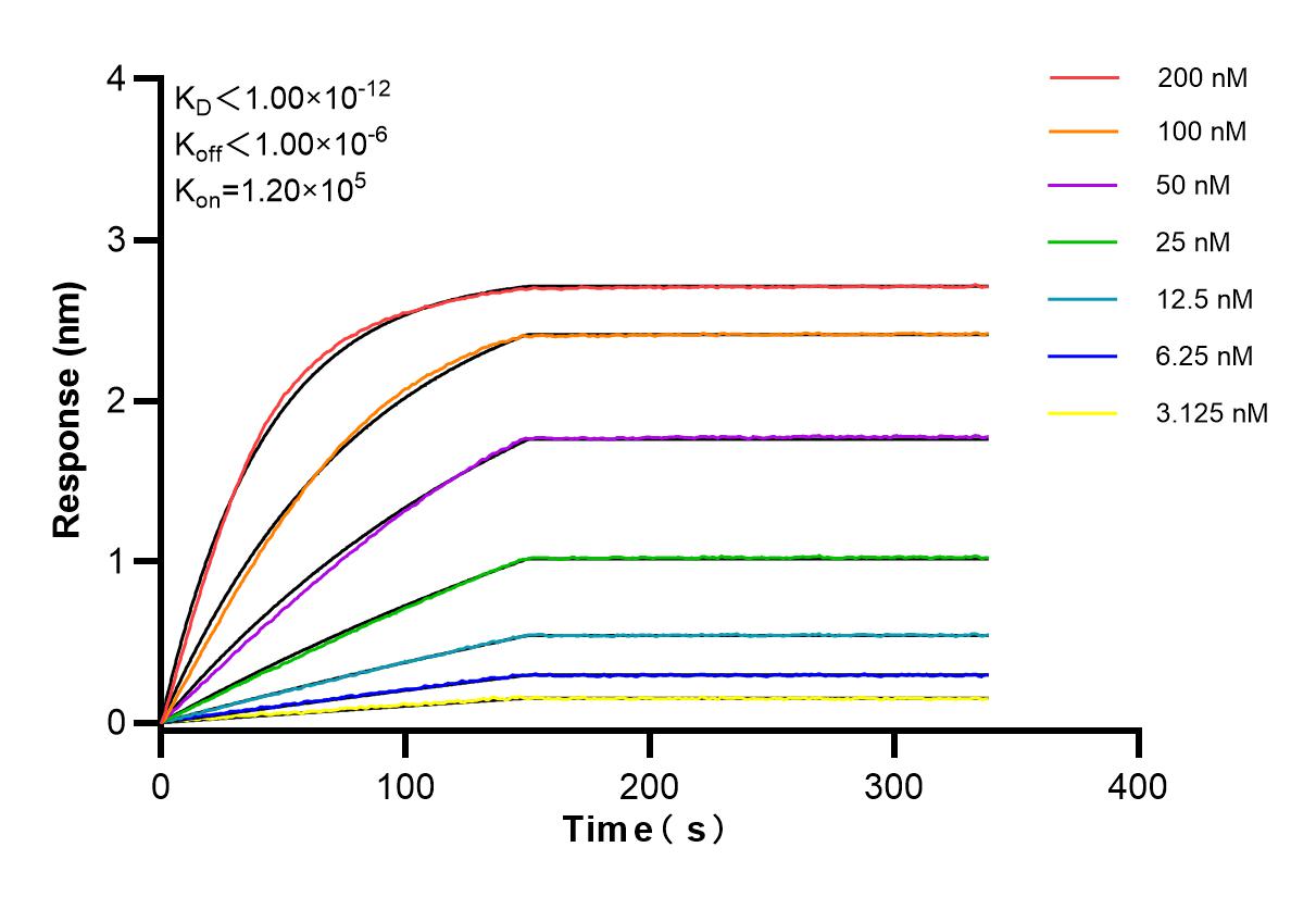 Affinity and Kinetic Characterization of 83784-6-RR