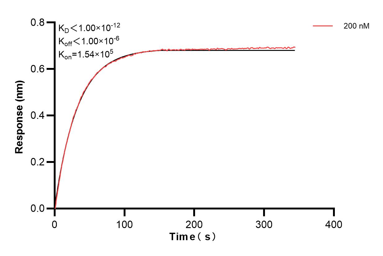 Biolayer interferometry (BLl) kinetic assays of 83793-3-PBS against Human CDH17 were performed. The affinity constant is below 1 pM. Affinity and Kinetic Characterization of 83793-3-PBS