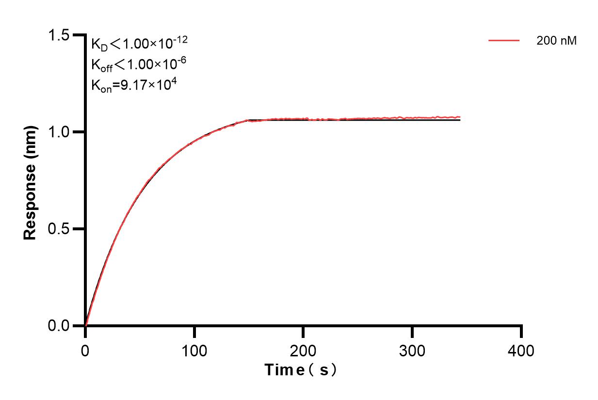 Affinity and Kinetic Characterization of 83793-6-PBS