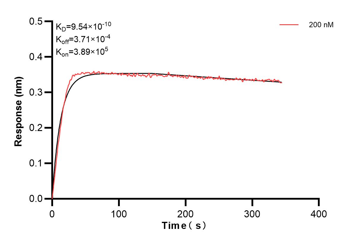 Affinity and Kinetic Characterization of 83795-1-PBS