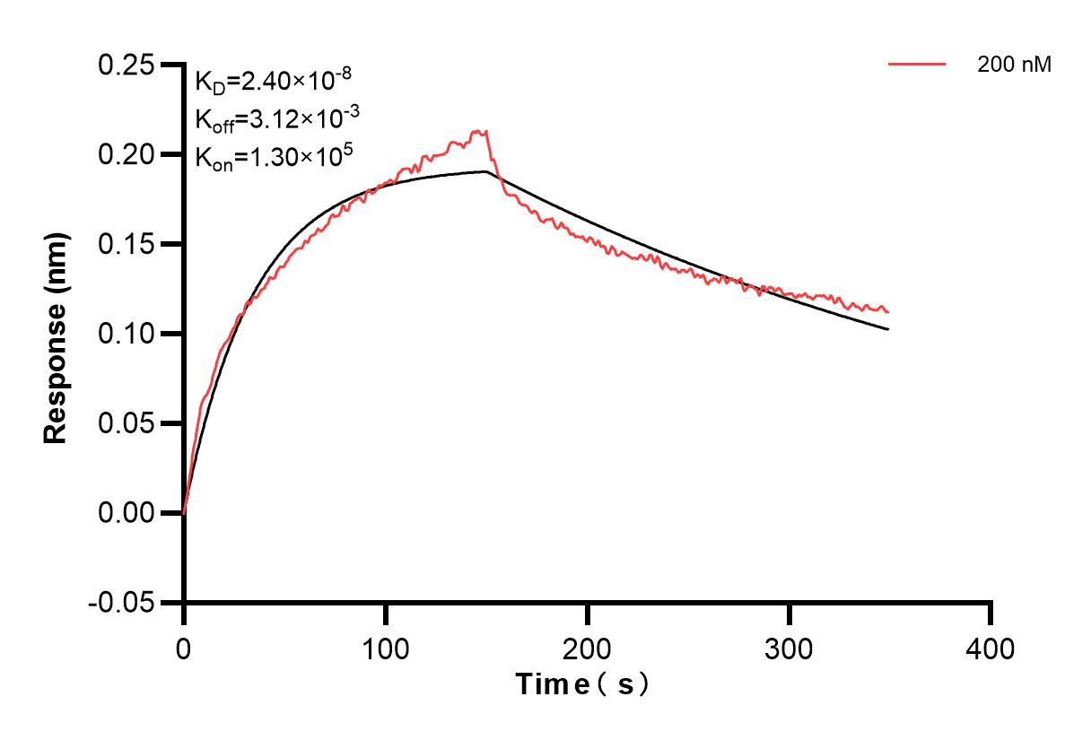 Affinity and Kinetic Characterization of 83795-5-PBS