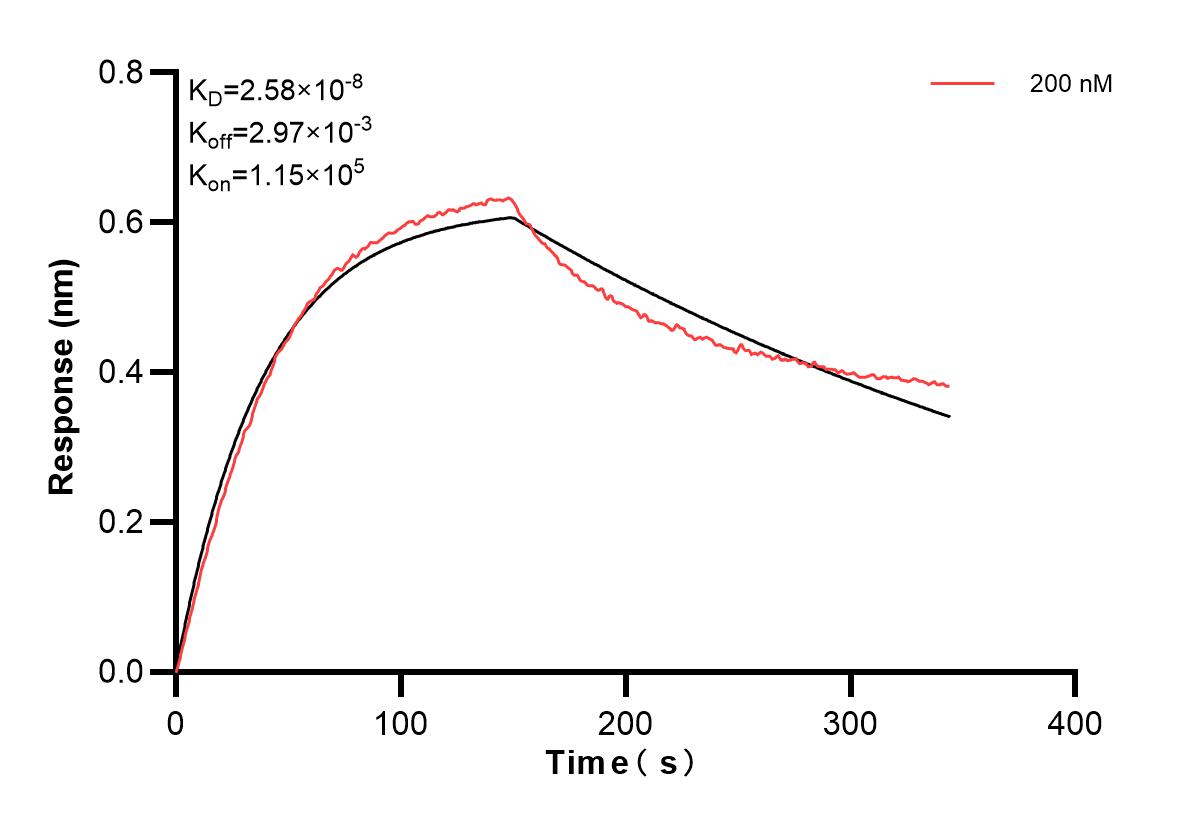 Affinity and Kinetic Characterization of 83795-6-PBS