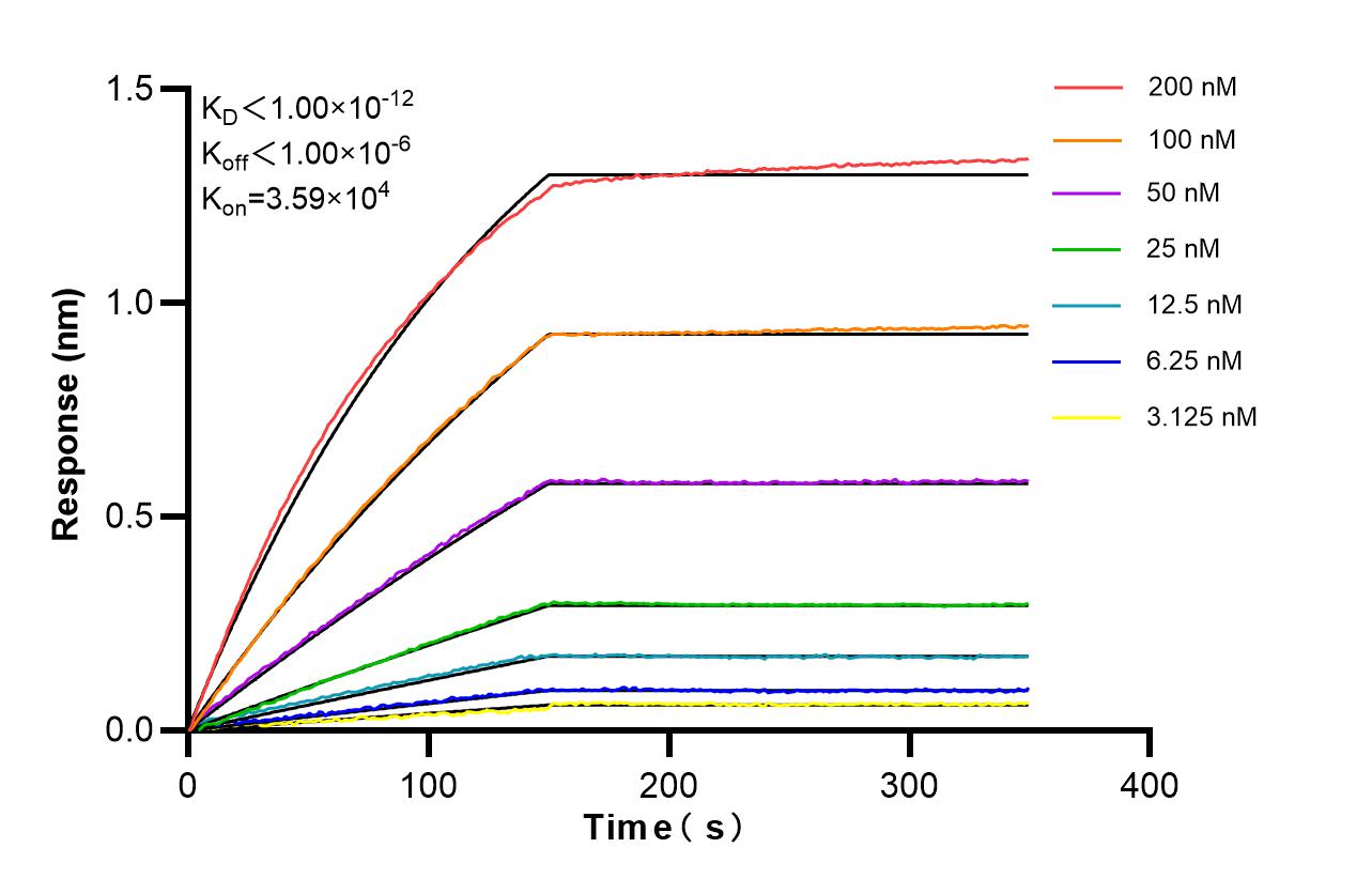 Affinity of 83803-1-RR
