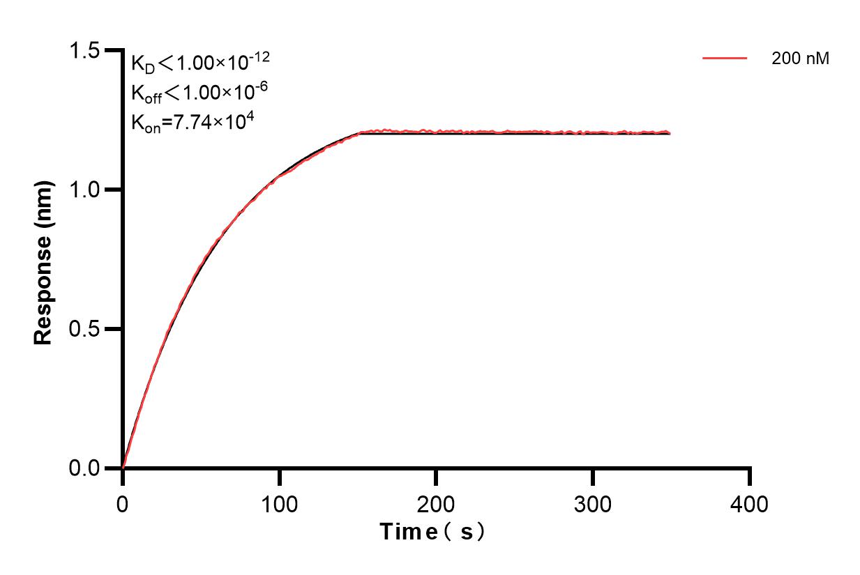 Biolayer interferometry (BLl) kinetic assay of 83815-3-PBS against Human NRAS was performed. The affinity constant is below 1 pM. Affinity and Kinetic Characterization of 83815-3-PBS