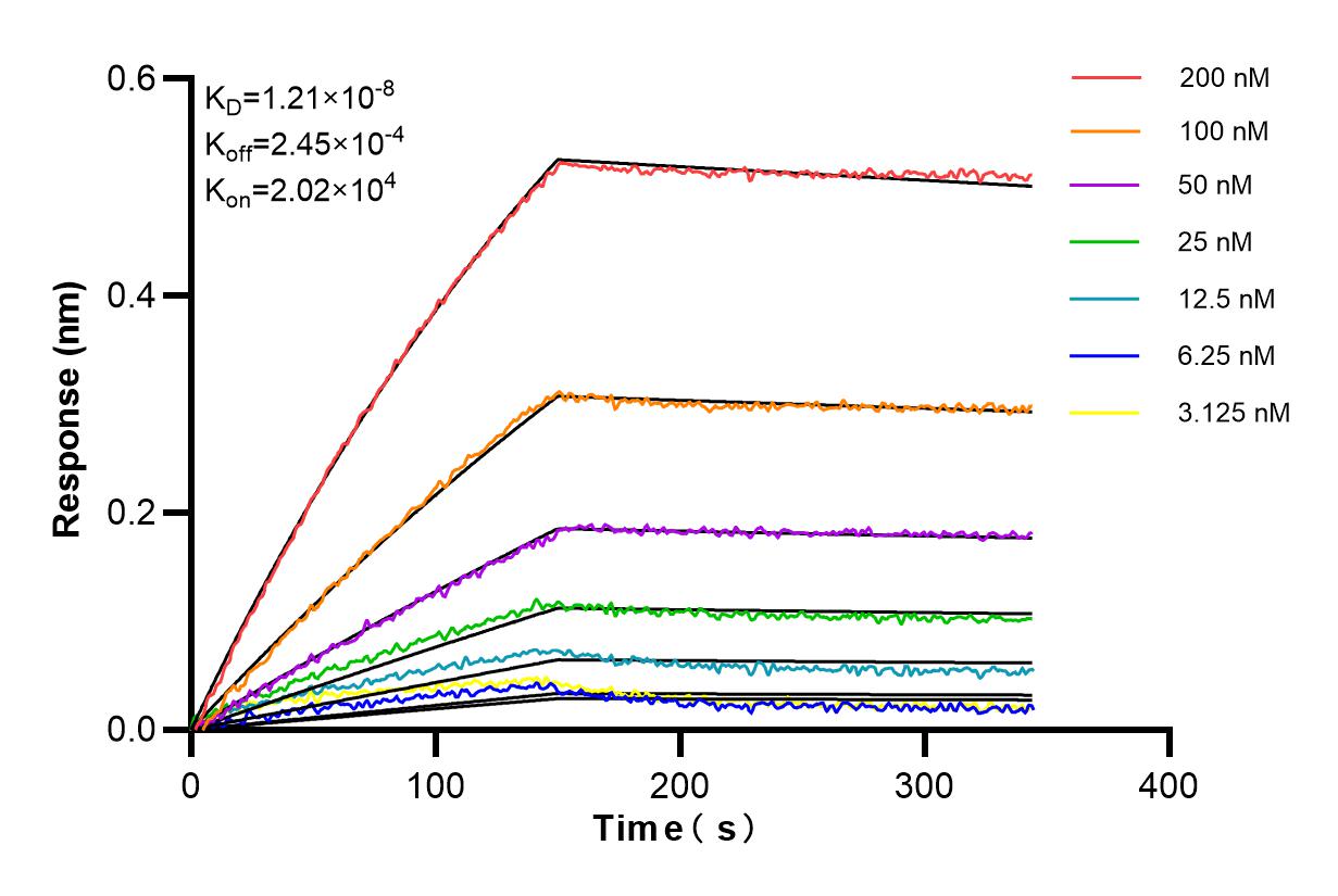 Affinity and Kinetic Characterization of 83817-1-RR