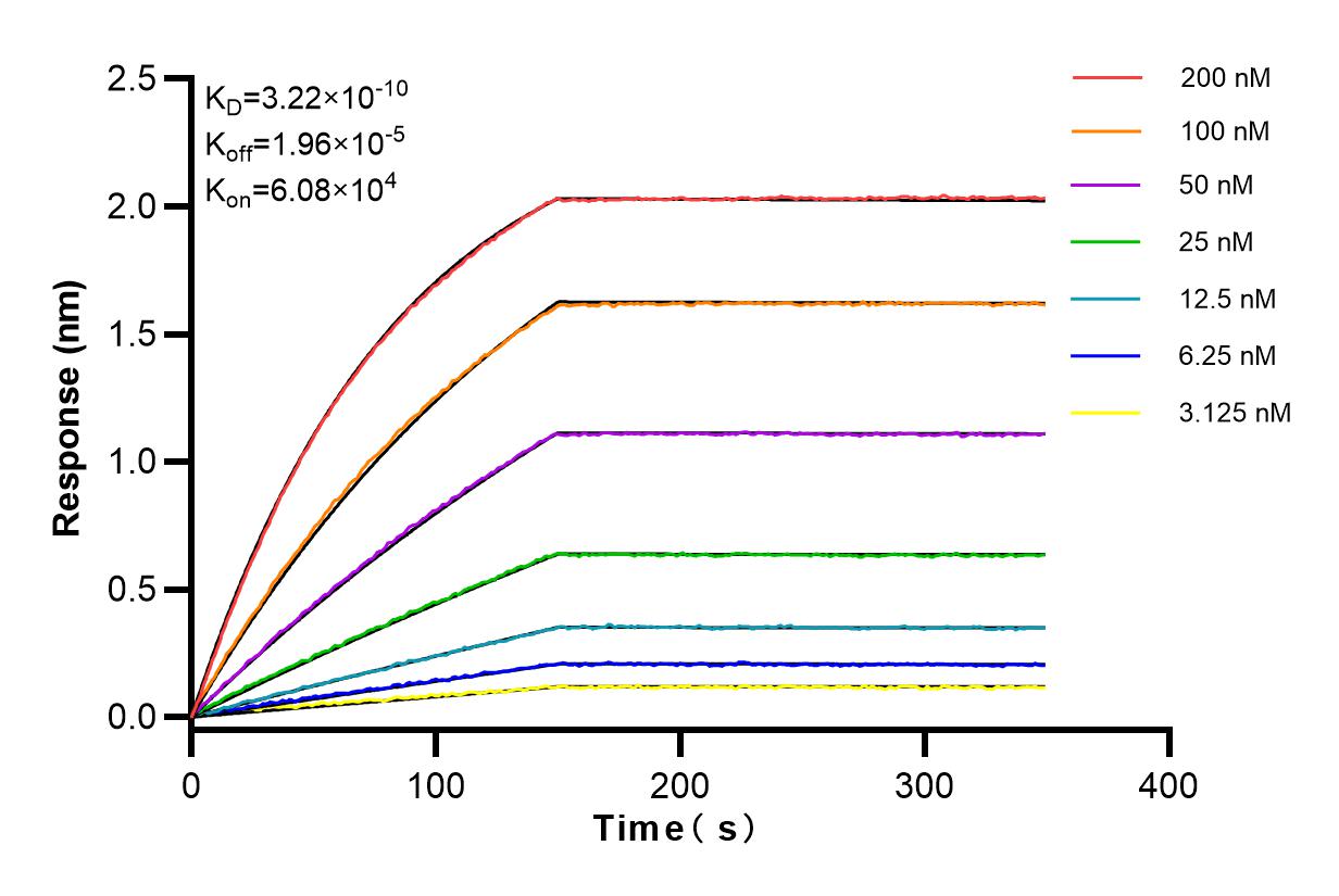 Affinity and Kinetic Characterization of 83830-2-RR