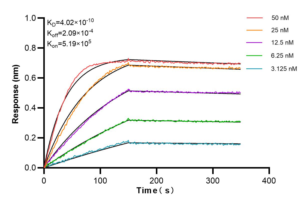 Affinity and Kinetic Characterization of 83841-2-RR