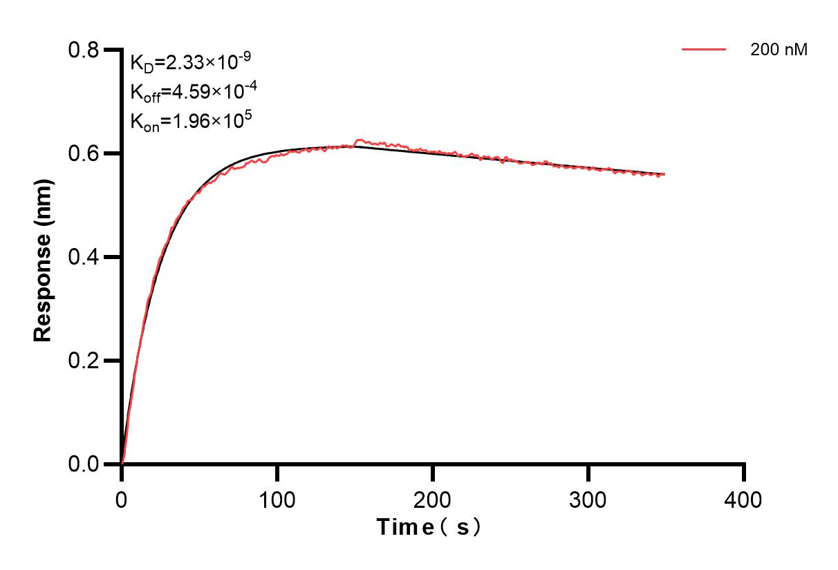 Affinity and Kinetic Characterization of 83844-7-PBS