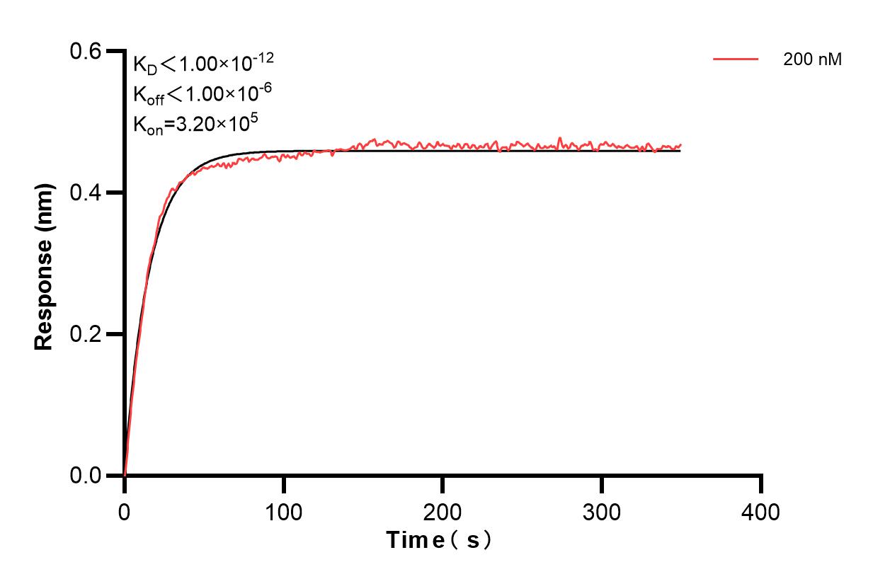 Biolayer interferometry (BLl) kinetic assays of 83853-4-PBS against Rat Lipocalin-2/NGAL were performed. The affinity constant is below 1 pM. Affinity and Kinetic Characterization of 83853-4-PBS