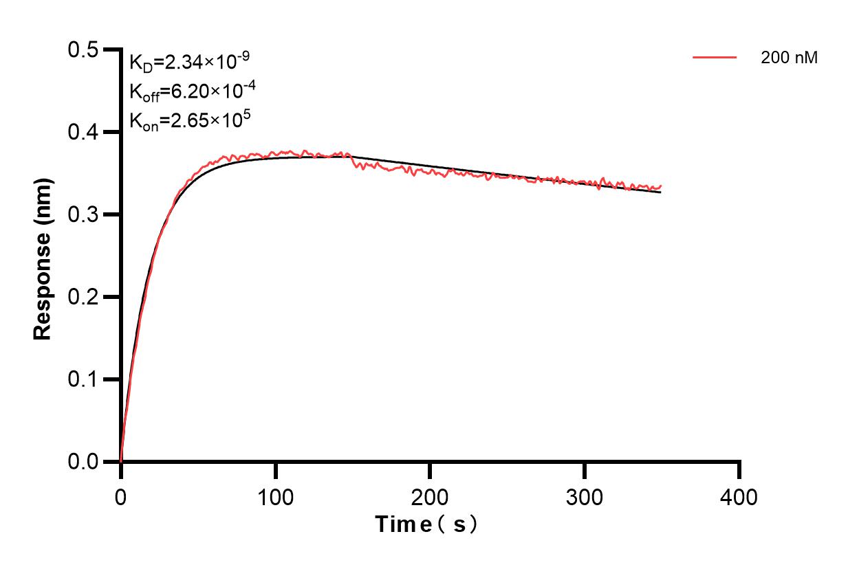 Biolayer interferometry (BLl) kinetic assays of 83853-5-PBS against Rat Lipocalin-2/NGAL were performed. The affinity constant is 2.34 nM. Affinity and Kinetic Characterization of 83853-5-PBS