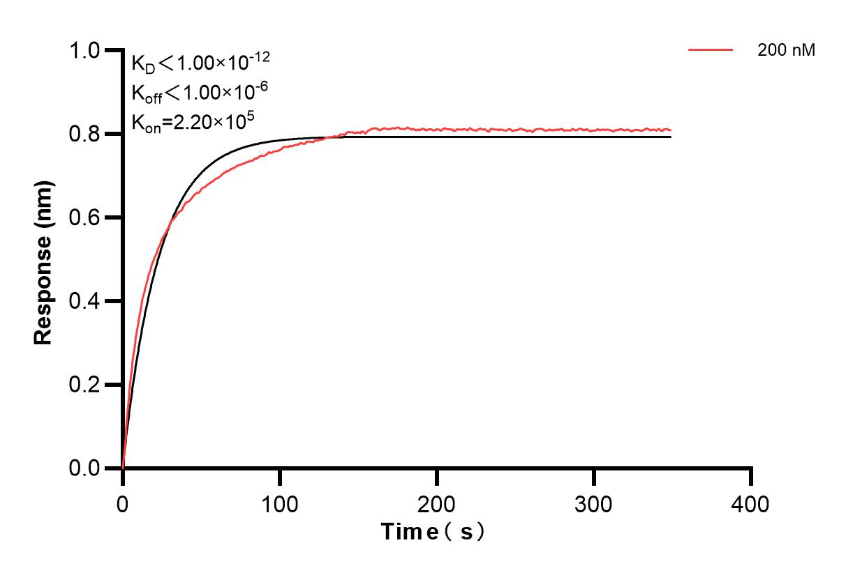 Affinity and Kinetic Characterization of 83880-1-PBS