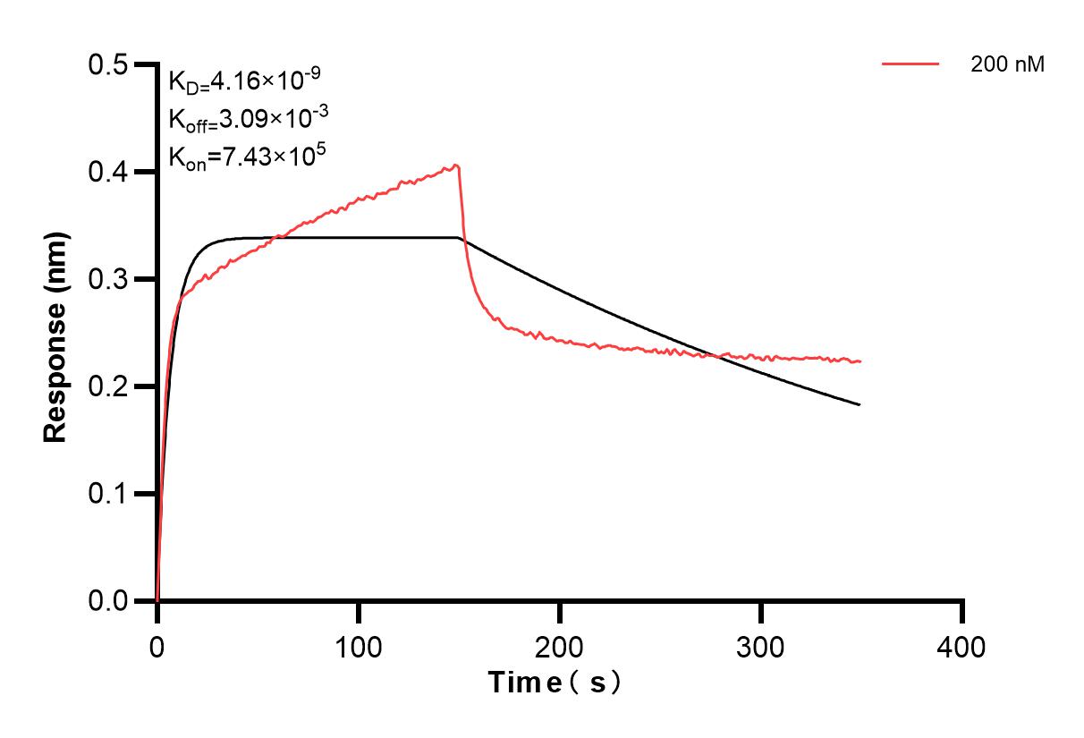 Affinity and Kinetic Characterization of 83880-3-PBS