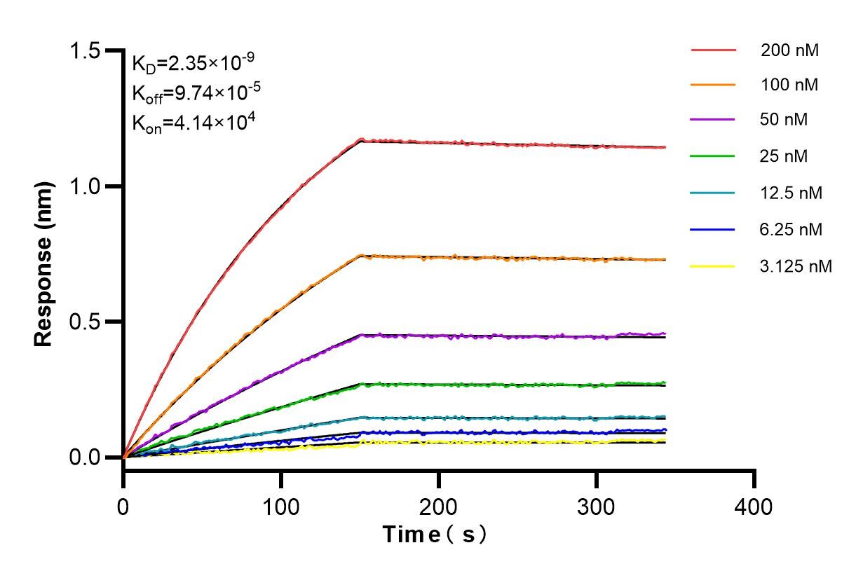 Biolayer interferometry (BLl) kinetic assay of 83881-2-PBS against Human S1PR2 was performed. The affinity constant is 2.35 nM. Affinity and Kinetic Characterization of 83881-2-PBS