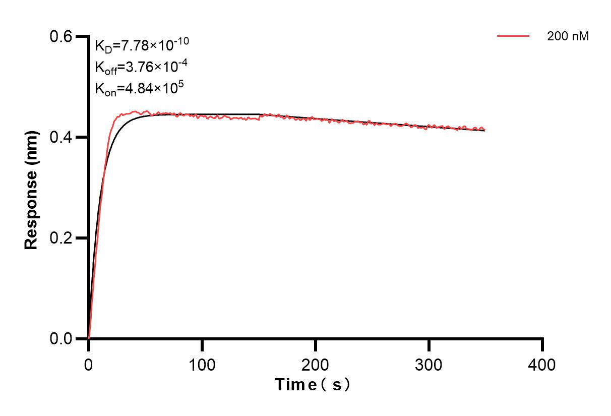 Affinity and Kinetic Characterization of 83887-1-PBS