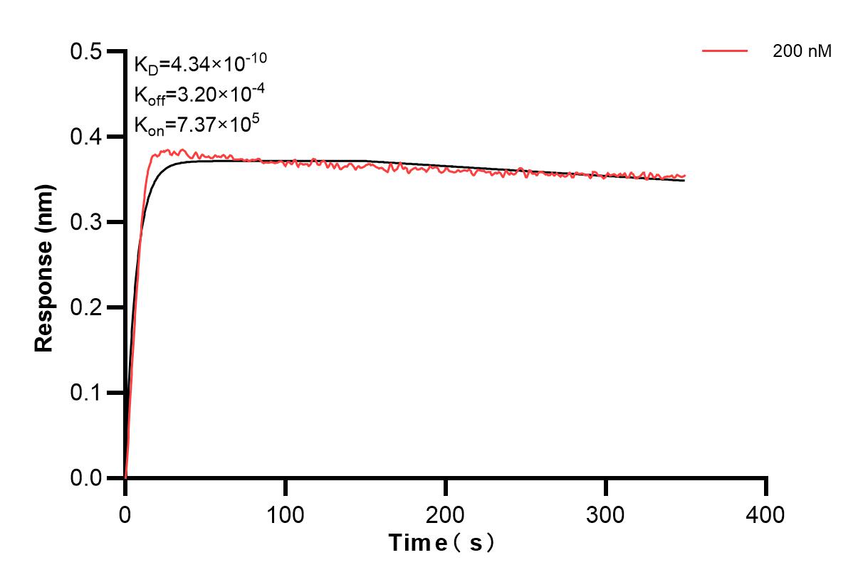 Affinity and Kinetic Characterization of 83894-2-PBS
