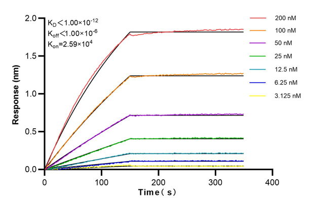 Affinity and Kinetic Characterization of 83961-1-PBS