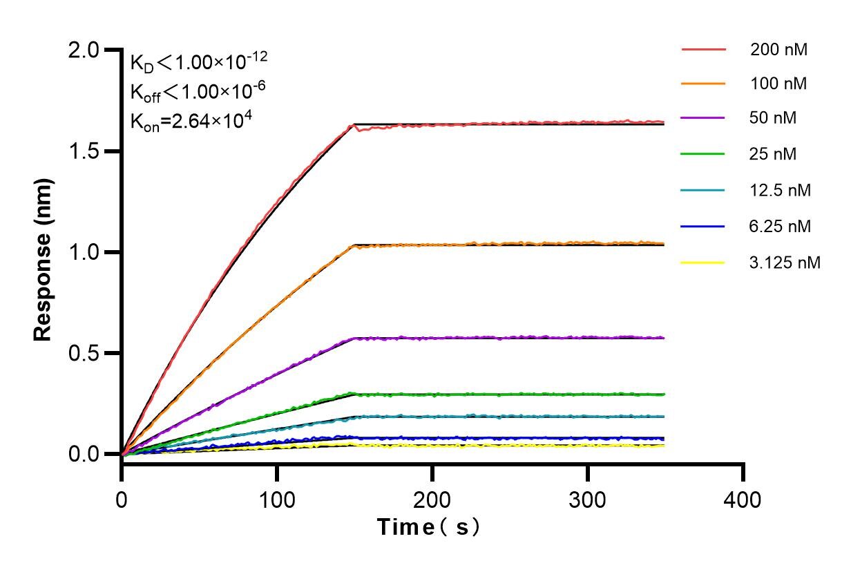 Affinity and Kinetic Characterization of 83961-3-PBS