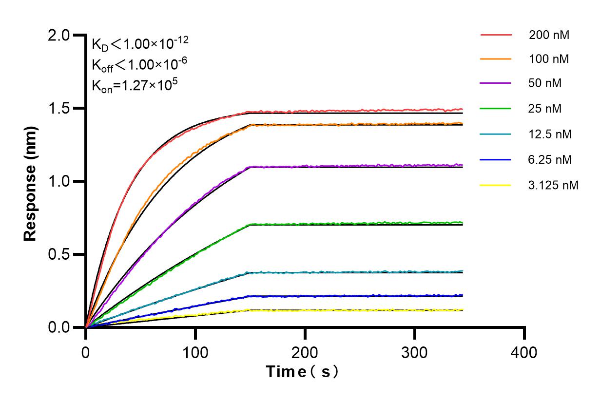 Affinity and Kinetic Characterization of 83973-5-RR