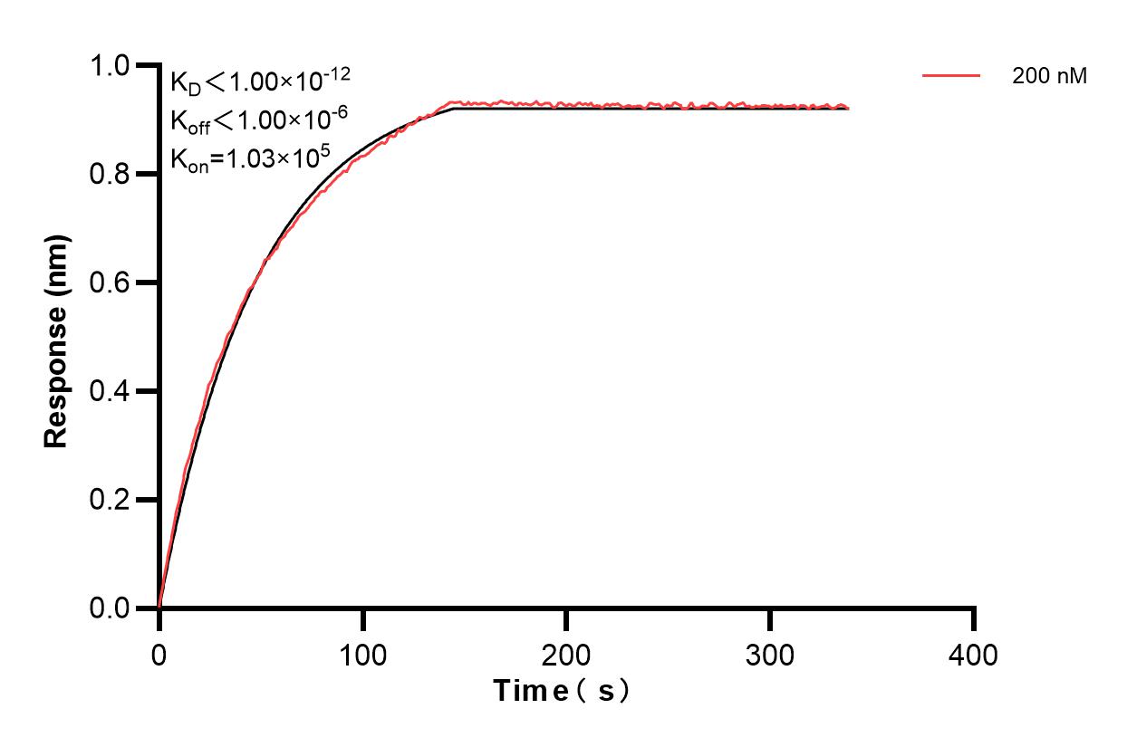 Affinity and Kinetic Characterization of 83974-3-PBS