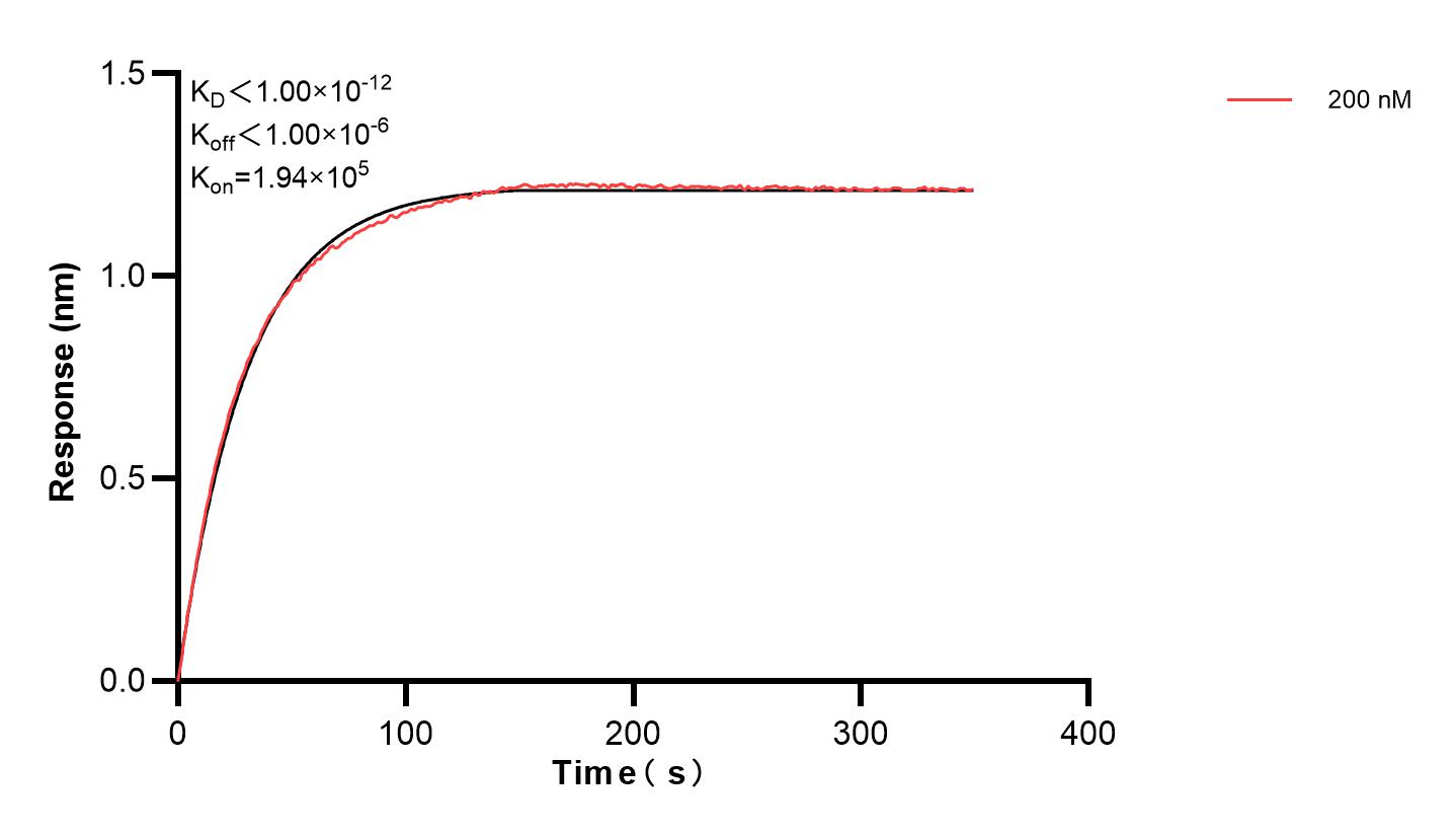 Affinity and Kinetic Characterization of 83979-2-PBS