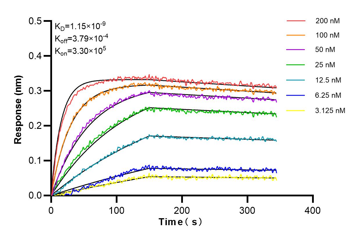 Affinity and Kinetic Characterization of 84069-8-RR