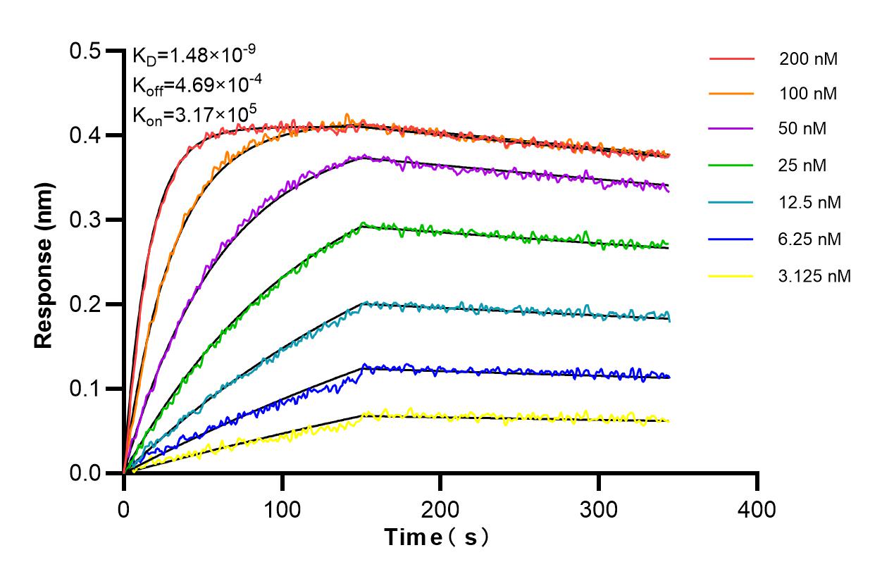 Affinity and Kinetic Characterization of 84071-3-PBS