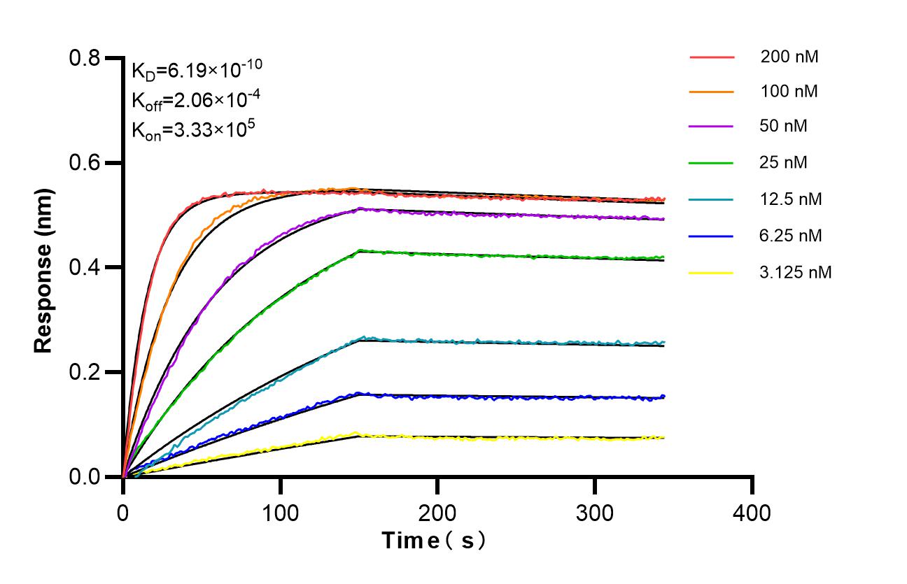Affinity of 84073-11-RR