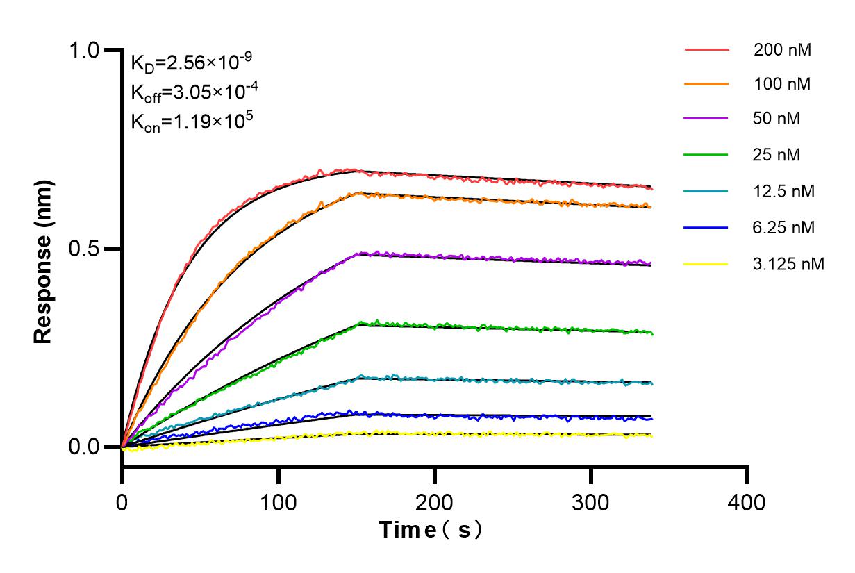 Affinity and Kinetic Characterization of 84073-6-RR