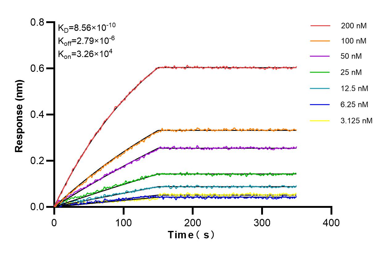 Affinity and Kinetic Characterization of 84078-1-PBS