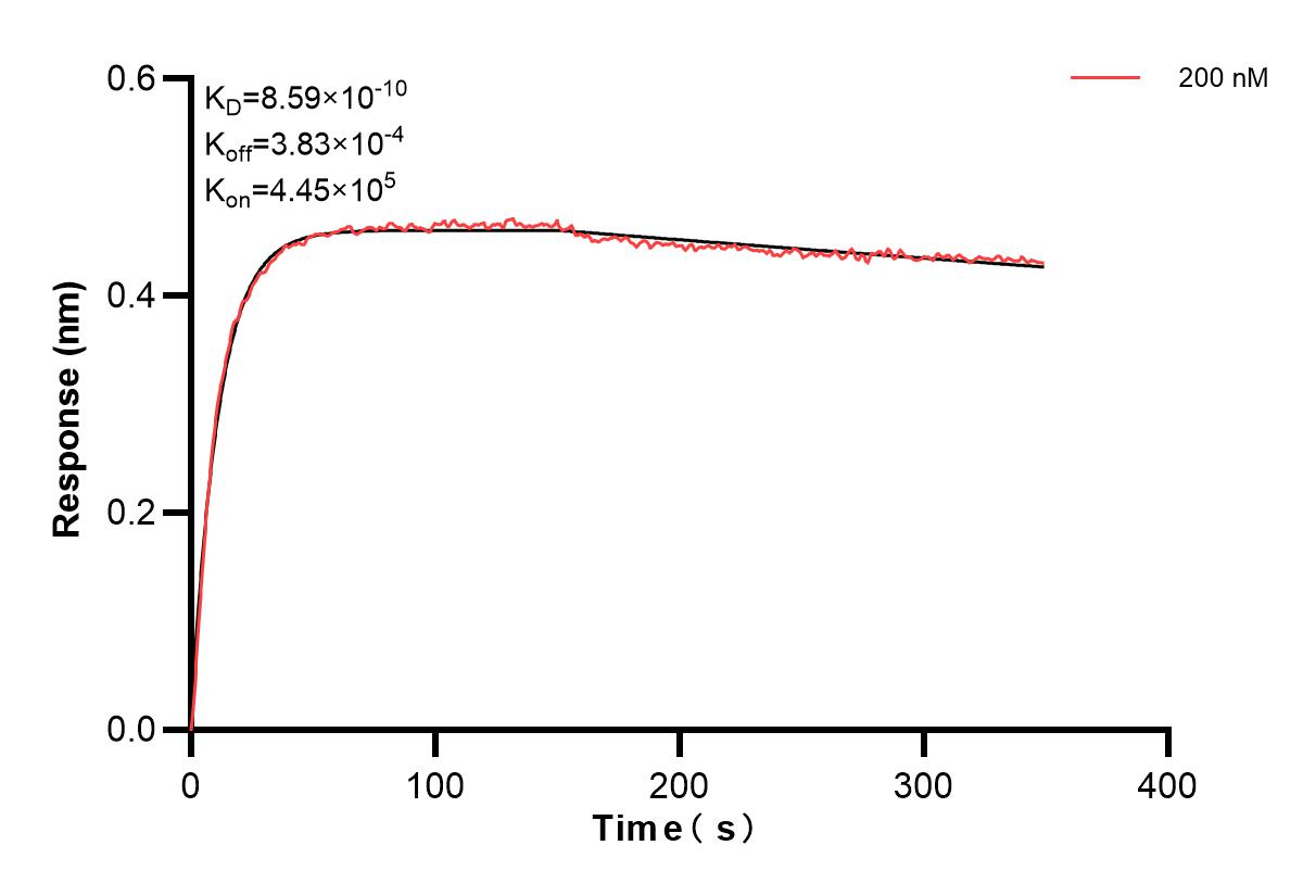 Affinity and Kinetic Characterization of 84093-2-PBS