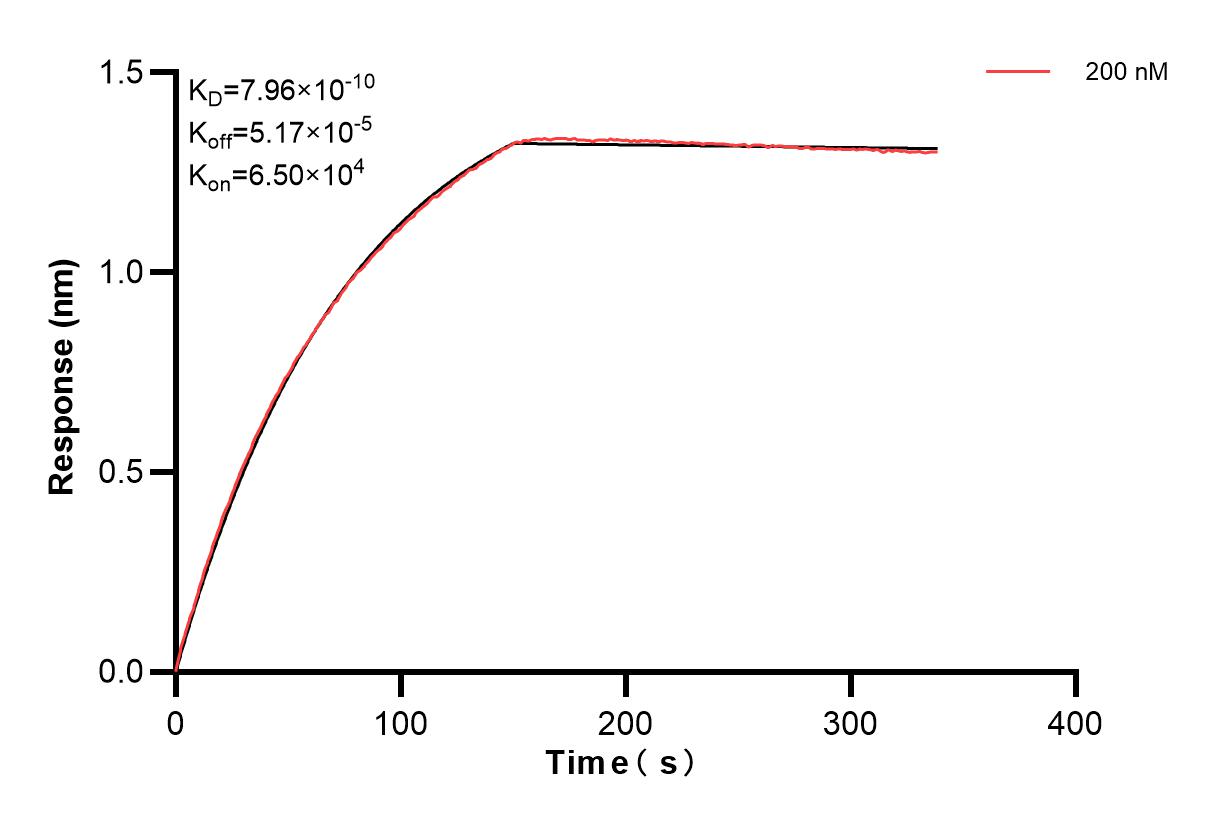 Affinity and Kinetic Characterization of 84100-1-PBS