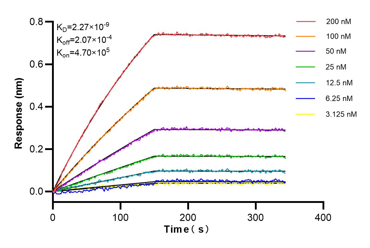 Affinity and Kinetic Characterization of 84101-5-RR
